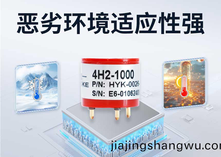 電化學---氫氣(qi)_04