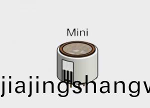 CITY 砷化(hua)氫(qing)氣體(ti)傳(chuan)感器